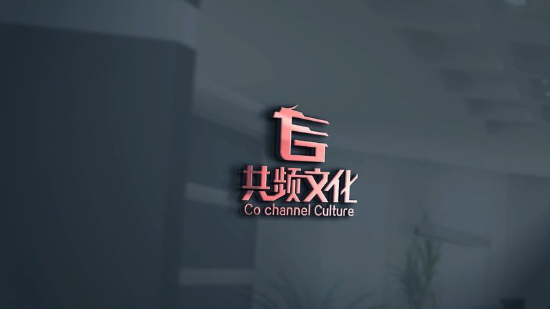 活动媒介投放案例流程揭秘：从策略到执行**